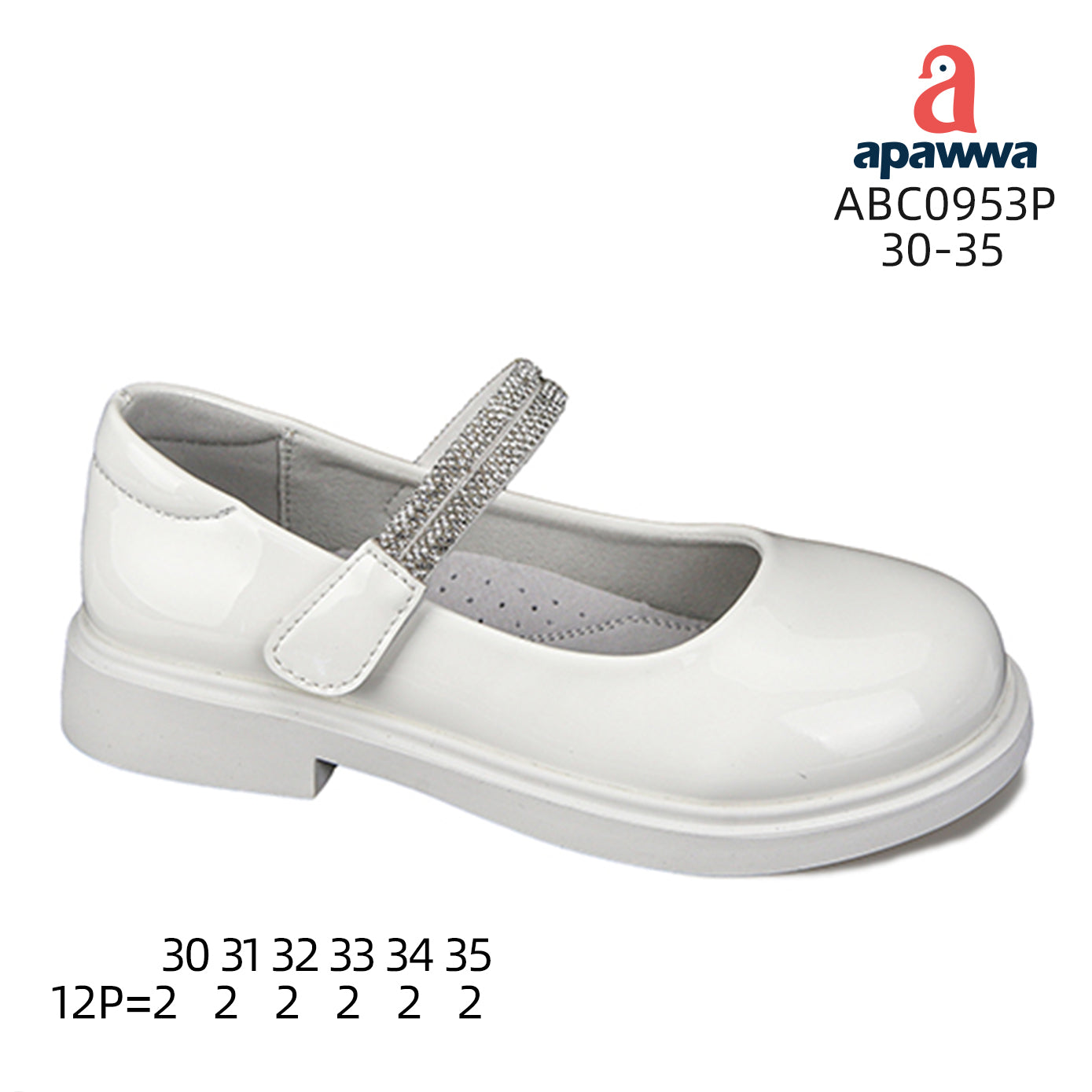 ABC0953P