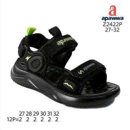 Z2422P