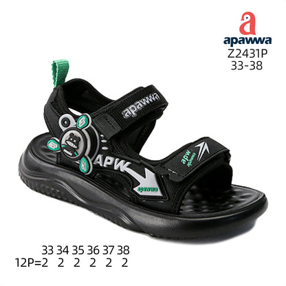 Z2431P